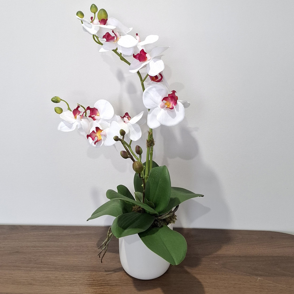 Pink and White orchid plant x 2 Flower Spikes artificial