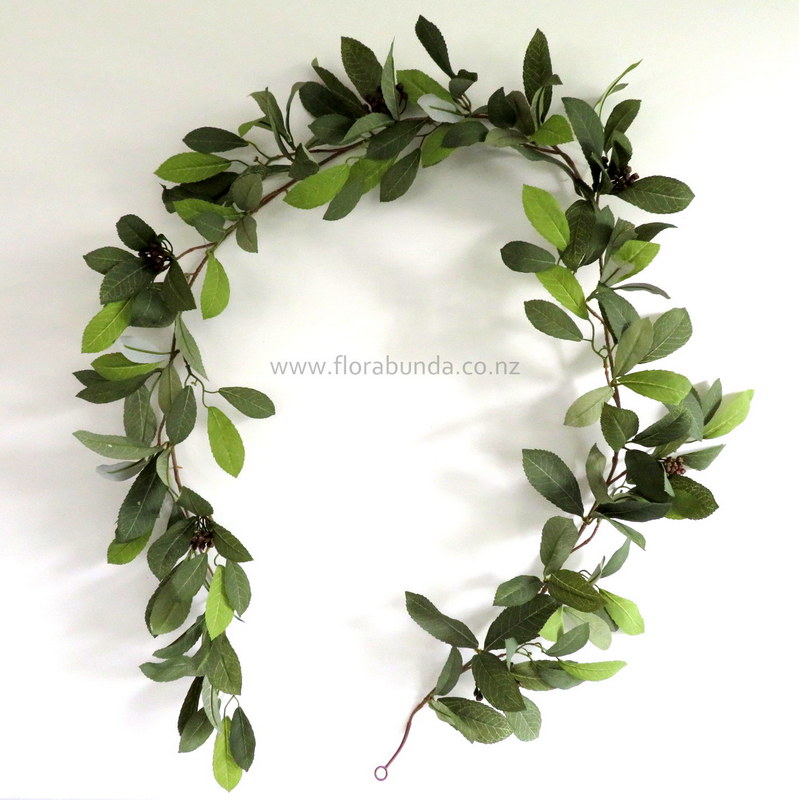 Laurel leaves vine