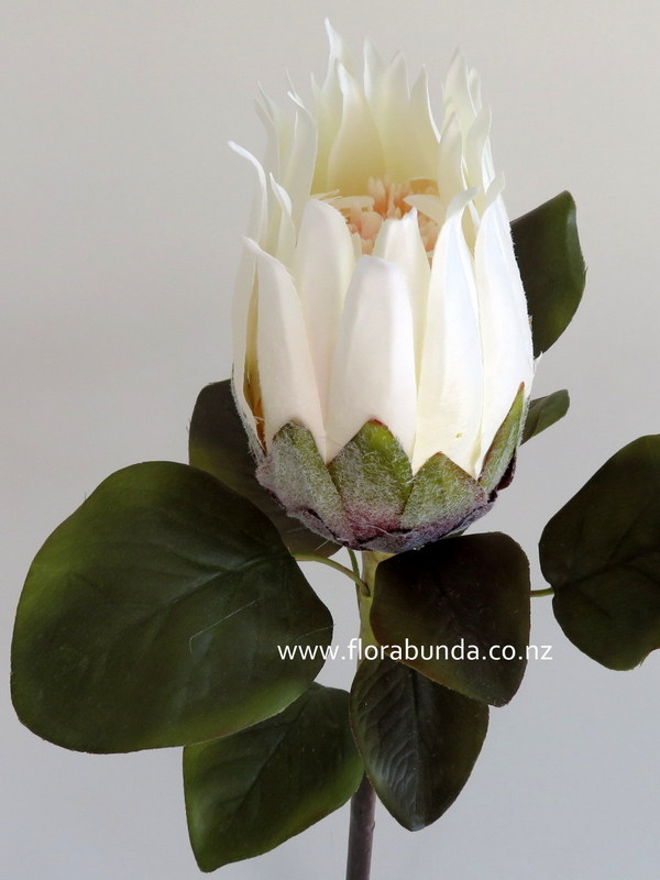 Artificial white protea flower with blush center