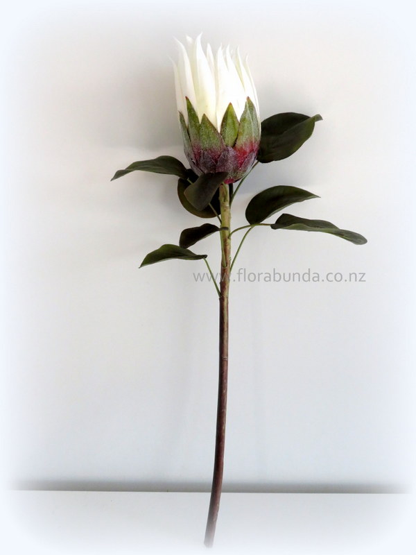 White fake protea with blush center. - Image 2