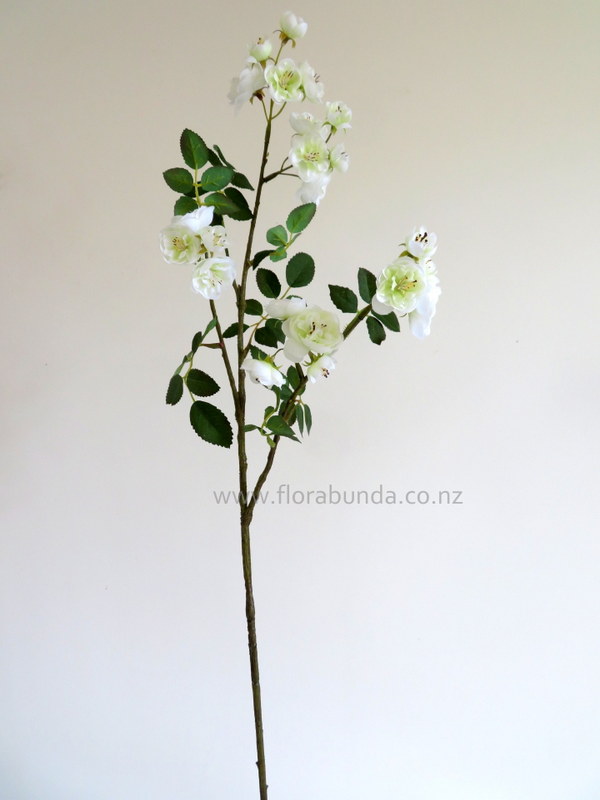 Fake white rambling garden roses