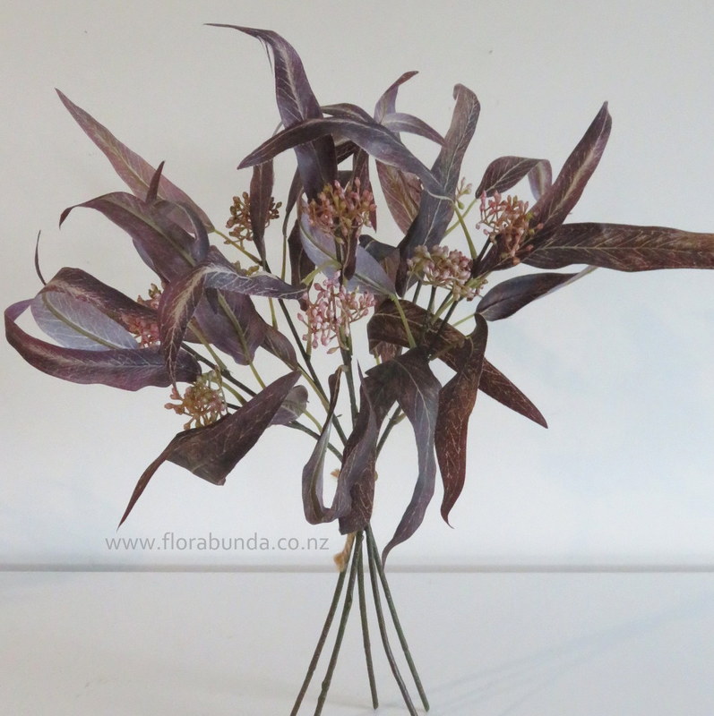 Dried look leaves pointed eucalyptus