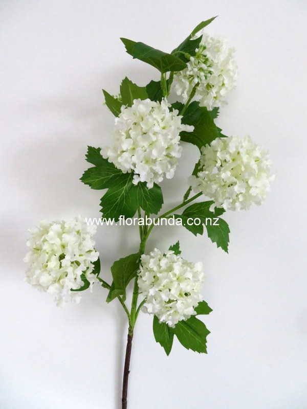 White snowball flowers