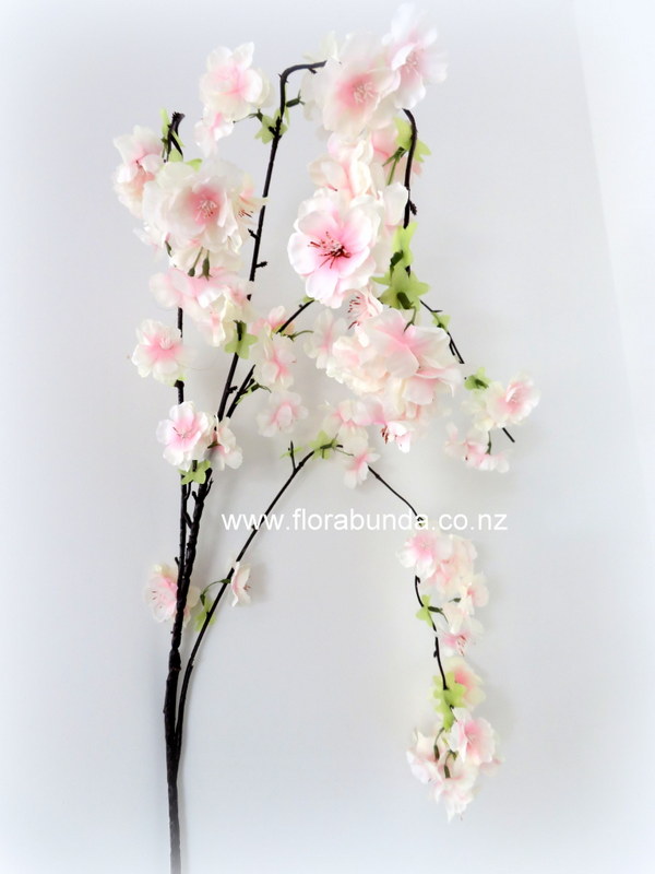 Hanging pink cherry blossom