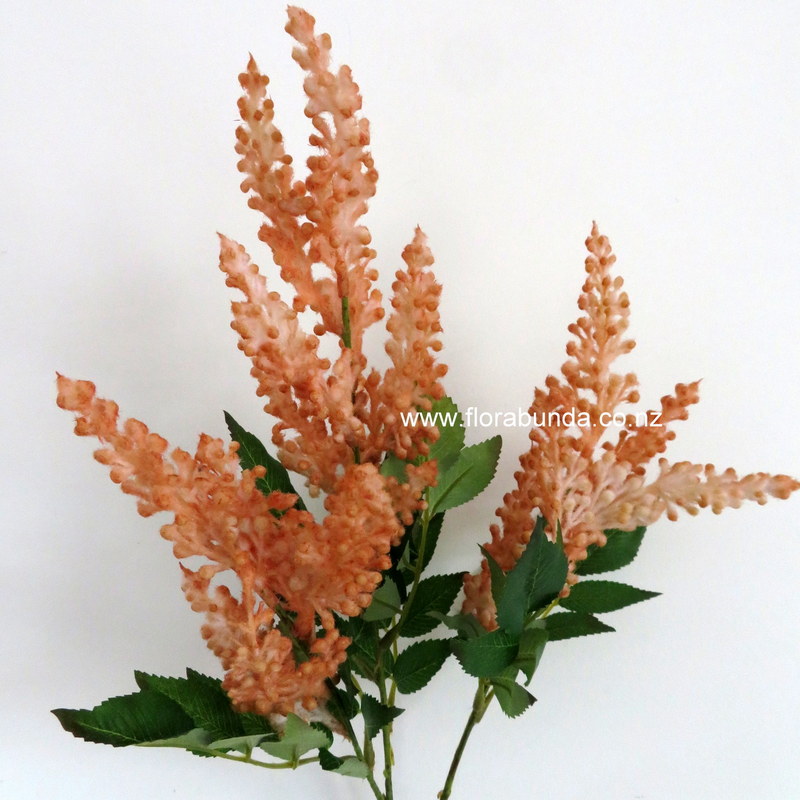 Tan brown seed heads