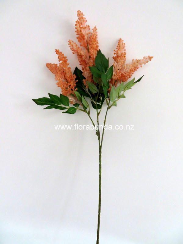 Astilbie dried look flowers