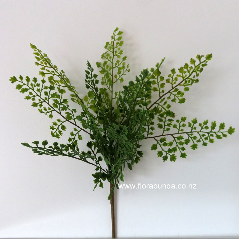 Maiden hair fake fern