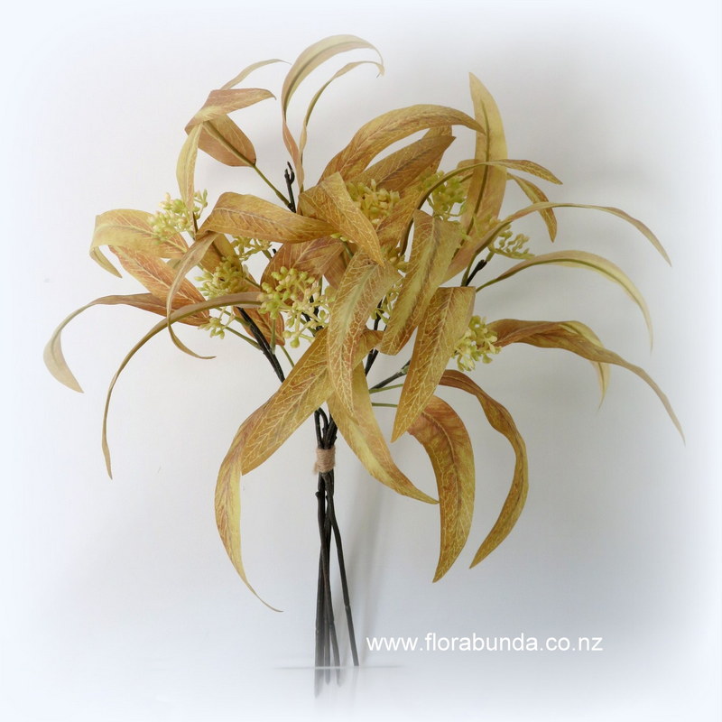 Gum leaves rustic with seed heads bundle of 5 stems Mustard colour