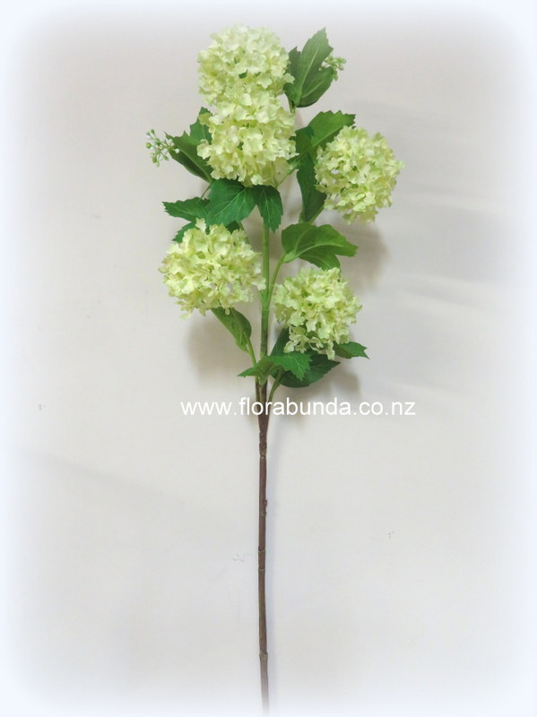 Green snowball flowers