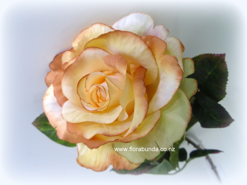 Gold Tan Edged Rose - Image 3