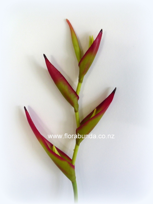Red and Green Small Heliconia