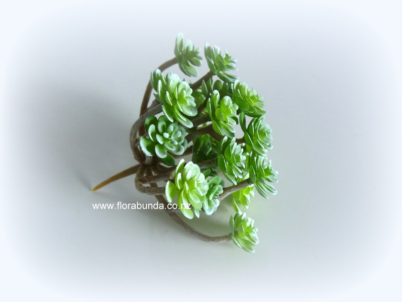 succulents Mini green grey - Image 2