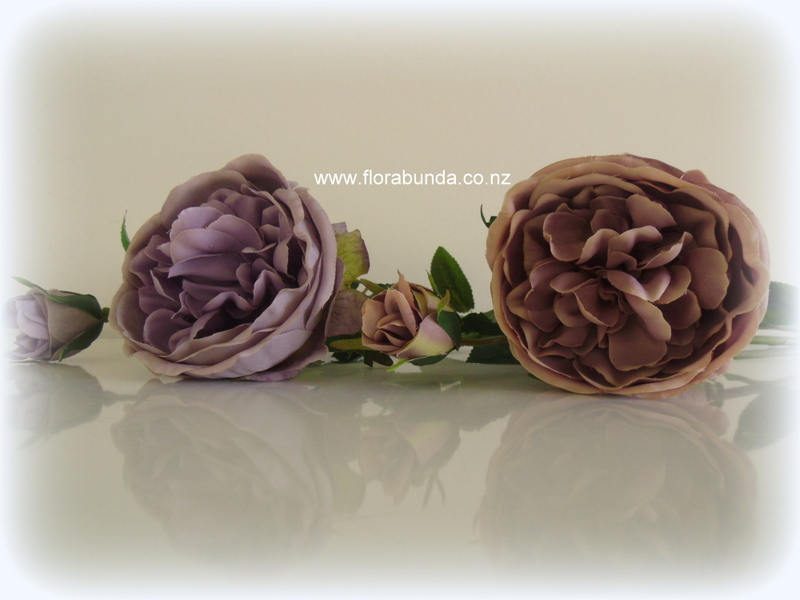 This image shows 2 roses available. The rose on the right is the rose in this product listing. The one on the left is more purple and available in a separate listing.