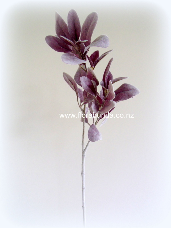 Lambs ear leaves dusky purple aubergine - Image 2