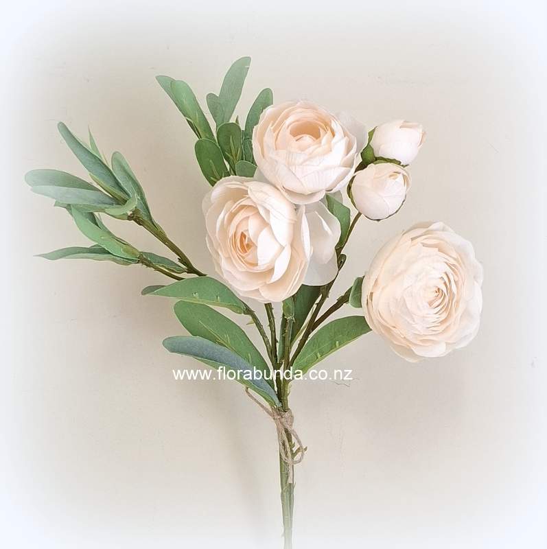 Champagne Ranunculus