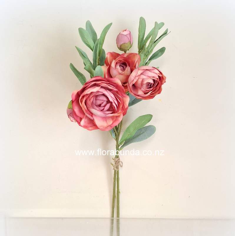 Coral Ranunculus Flower