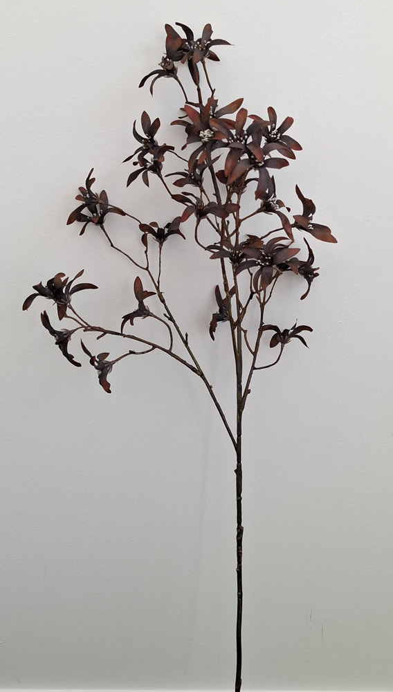 Royal Star Brown faux Clematis